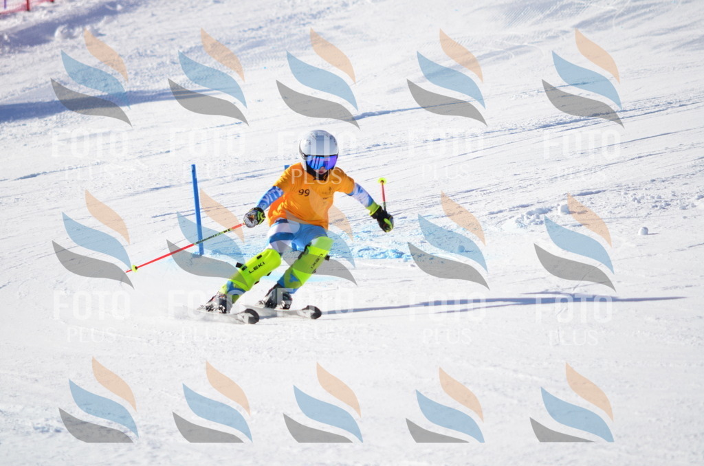 C6164 | holidayphoto