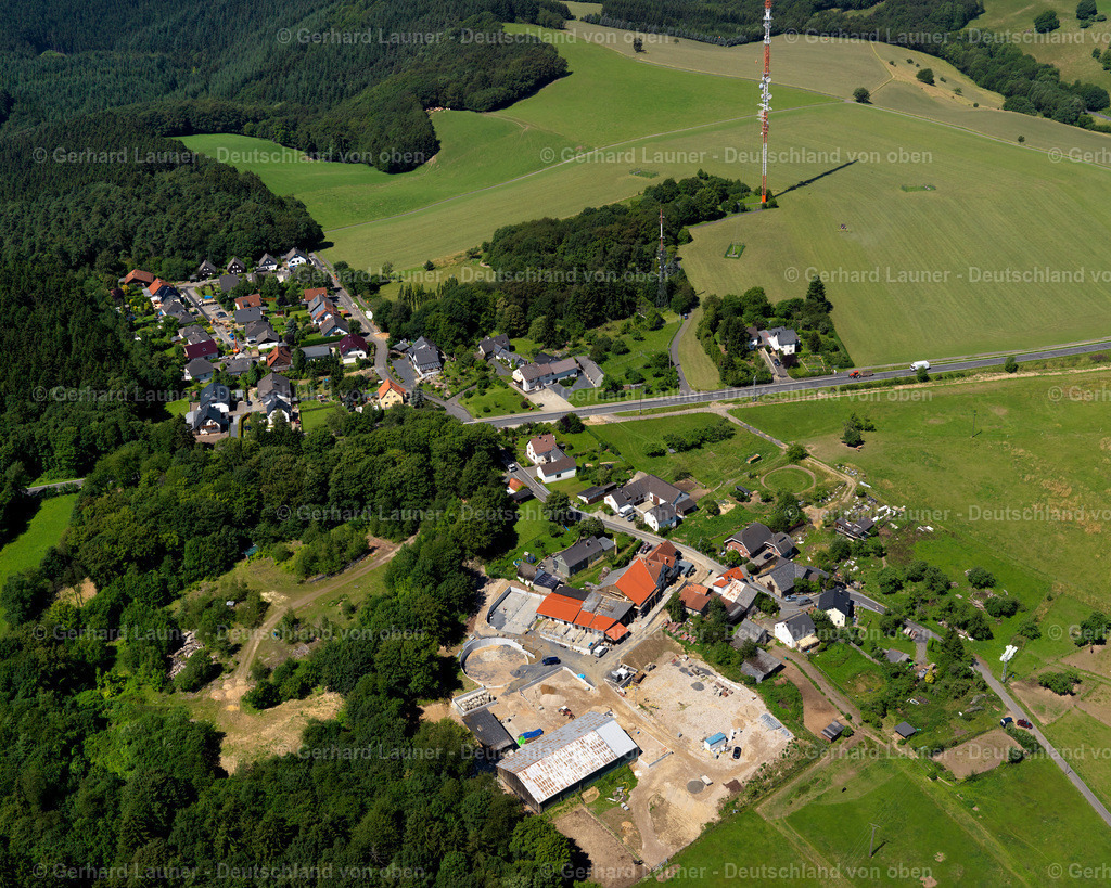 3120229 | Ginsterhahn