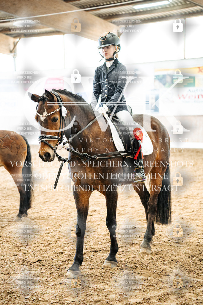 CK703121 | Turnierfotografie Pferdefotografie Trier Rheinland-Pfalz Pferdesport Reitsport Tierfotografie Sportfotografie Pferdevideo Pferdevideografie Equestrianvideography equestrianphotography  - Realisiert mit Pictrs.com