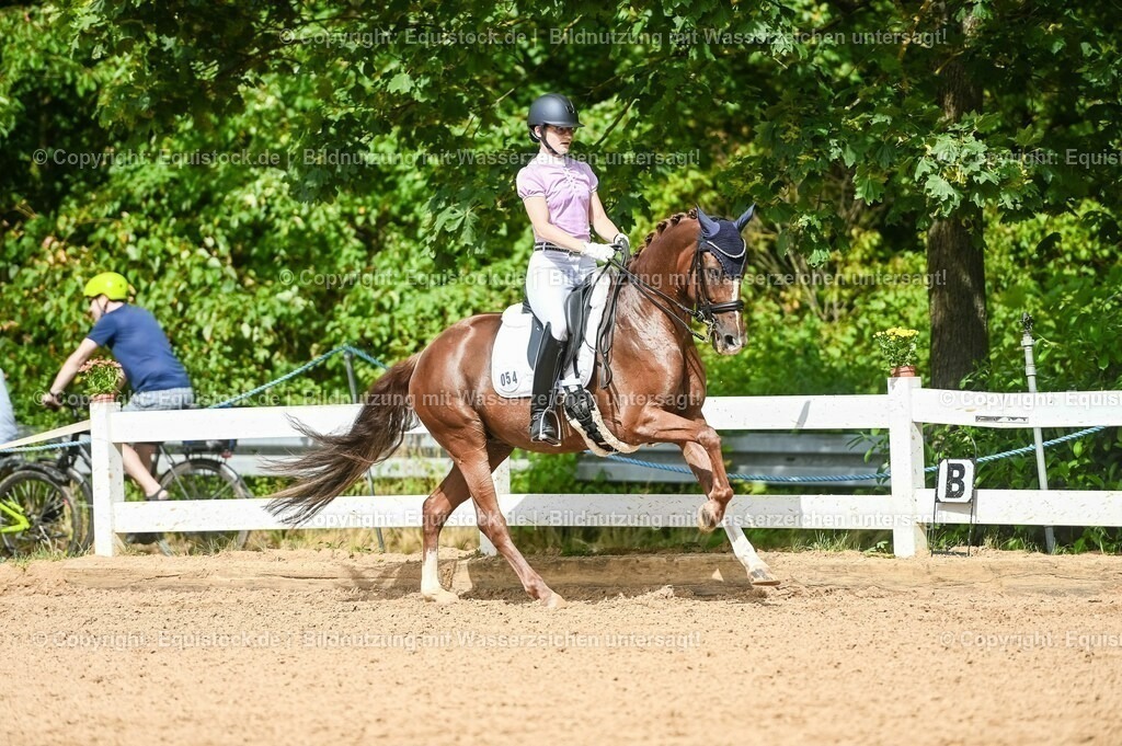 20230716_01_Dressurprüfung Kl.M_0395 | equistock