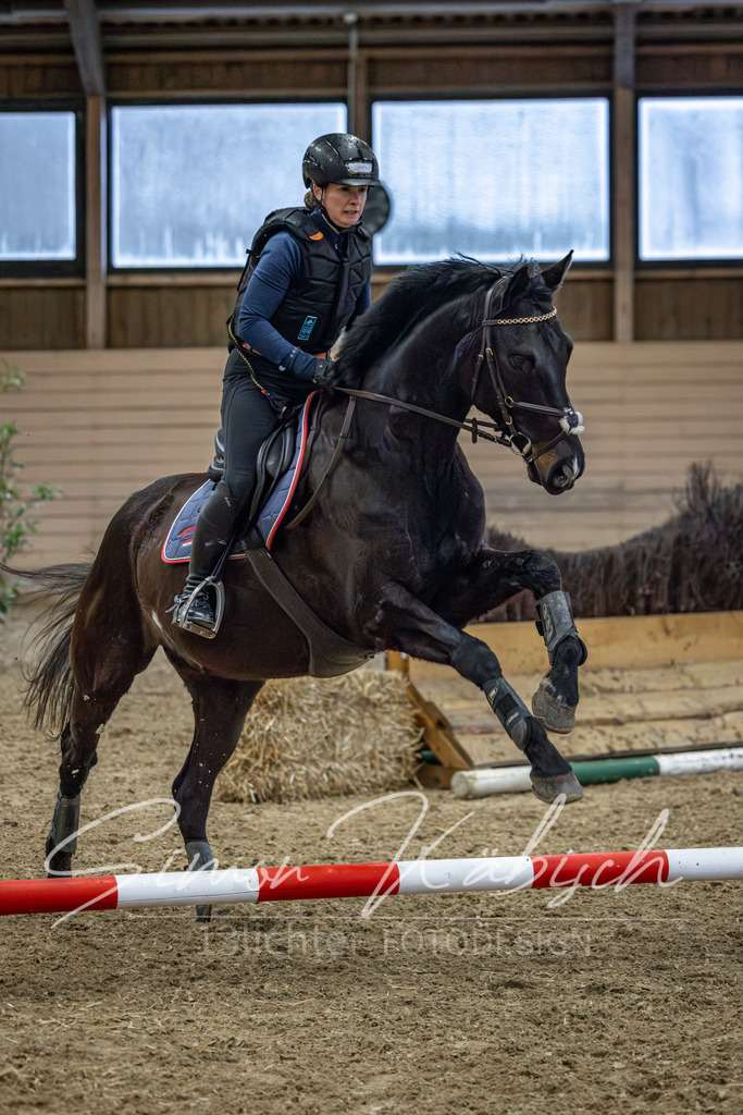 20260222-_3LI1150 | Tierfotografie Pferde, Hunde, Katzen, Haustiere.
Turnierfotografie Reitturniere, Reiten, Springreiten, Dressur in Hanau, dem Main-Kinzig-Kreis und dem Rhein-Main- Gebiet um Frankfurt