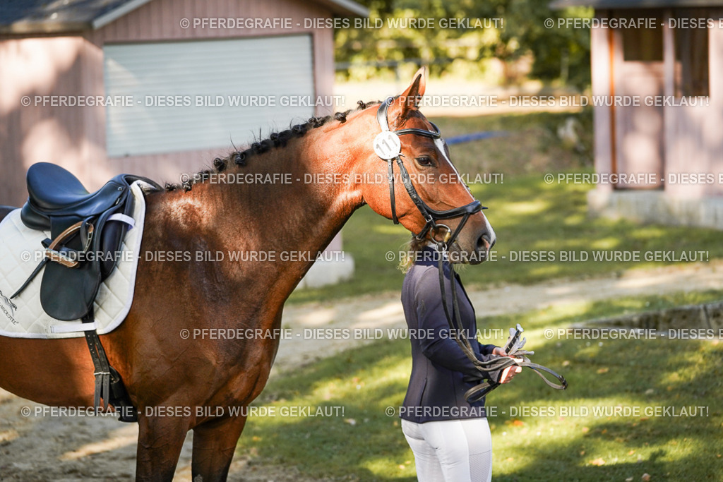 DSC05967 | Pferdegrafie