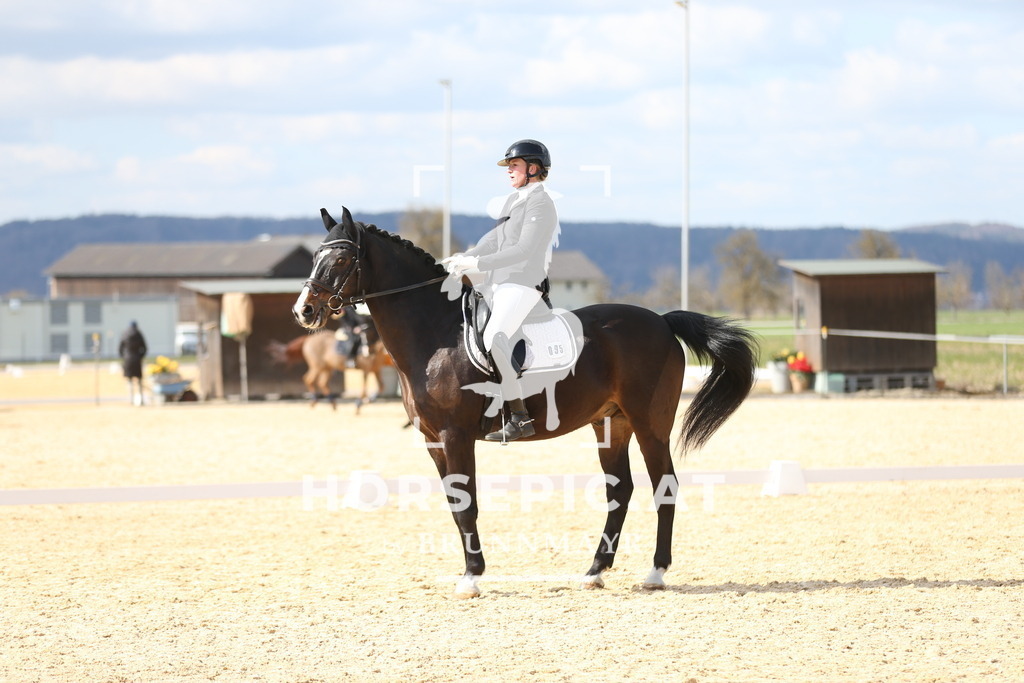 AS8V1641 | Willkommen bei Brunnmayr - Design & Fotografie – Ihrem Spezialisten für Reitturniere und Pferdeveranstaltungen in Oberösterreich, Salzburg und Bayern! Seit über 17 Jahren sind wir leidenschaftlich dabei.