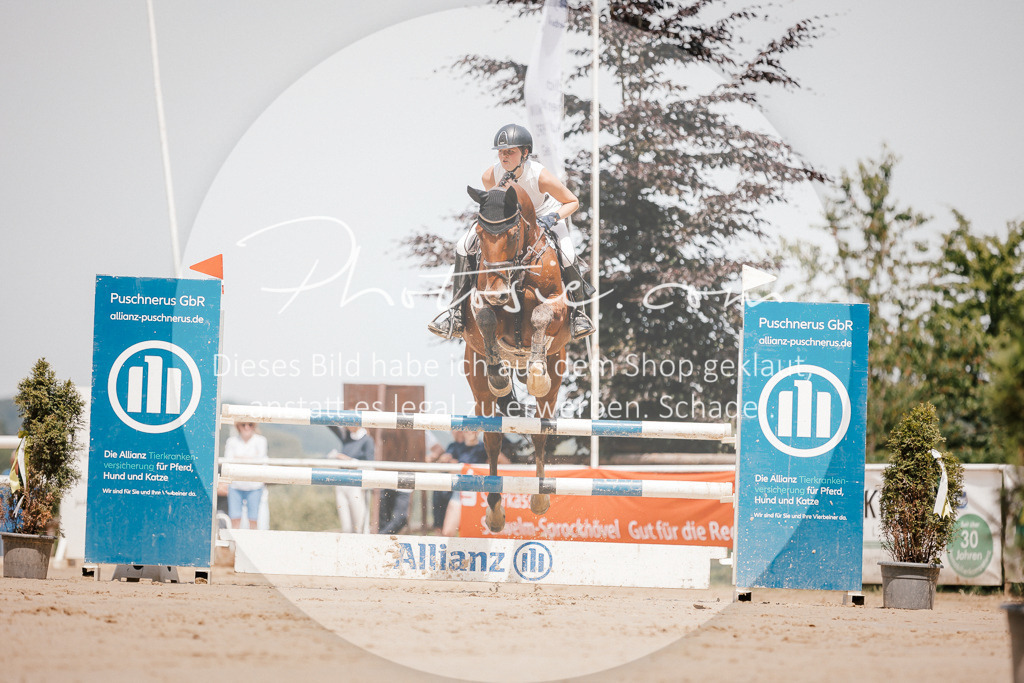 3I6A7824 | Stimmungsvolle Portraits und Reitsportfotografie im Ruhrgebiet und im Münsterland.

Pferdefotografie, Hundefotografie, Tierfotografie, Reportagen, Portraits von Tier und Mensch, Turnierfotografie in Bochum, Recklinghausen, Marl, Haltern am See, Dülmen.. - Realisiert mit Pictrs.com