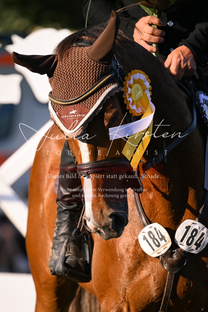 DSC_1871 | Pferde- und Turnierfotografie in Westsachsen. Pferdeportraits, Auftragszeichnungen und intuitive Kunst.