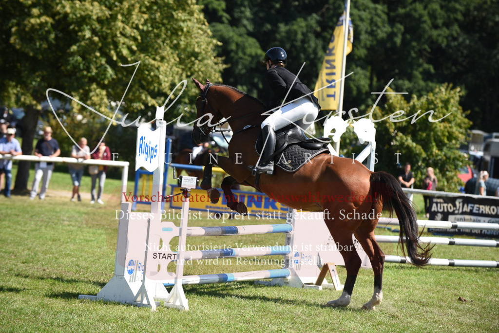 DSC_9429 | Pferde- und Turnierfotografie in Westsachsen. Pferdeportraits, Auftragszeichnungen und intuitive Kunst.