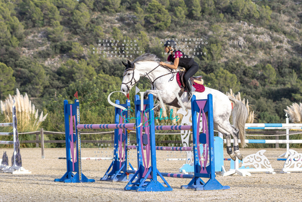 IMG_5043 | s-jay-photography - Realisiert mit Pictrs.com