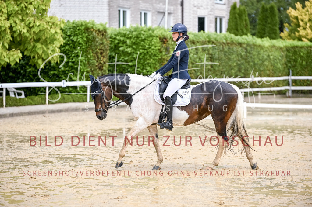 Schugtsche-Aluta25-55.Dressurreiterprf.L1Tr-376 | Schugtsche Fotografie - Realisiert mit Pictrs.com