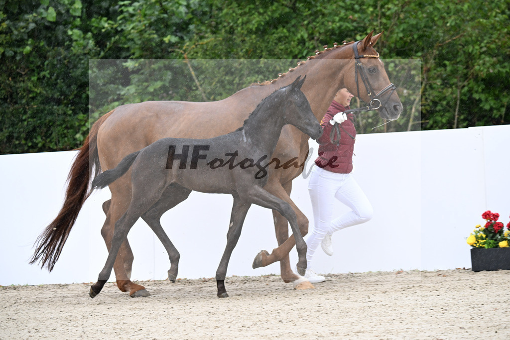 Sarai L x Franziskus_HF_Stiegemeier_23250051 | hf-fotografie - Realizzato con Pictrs.com