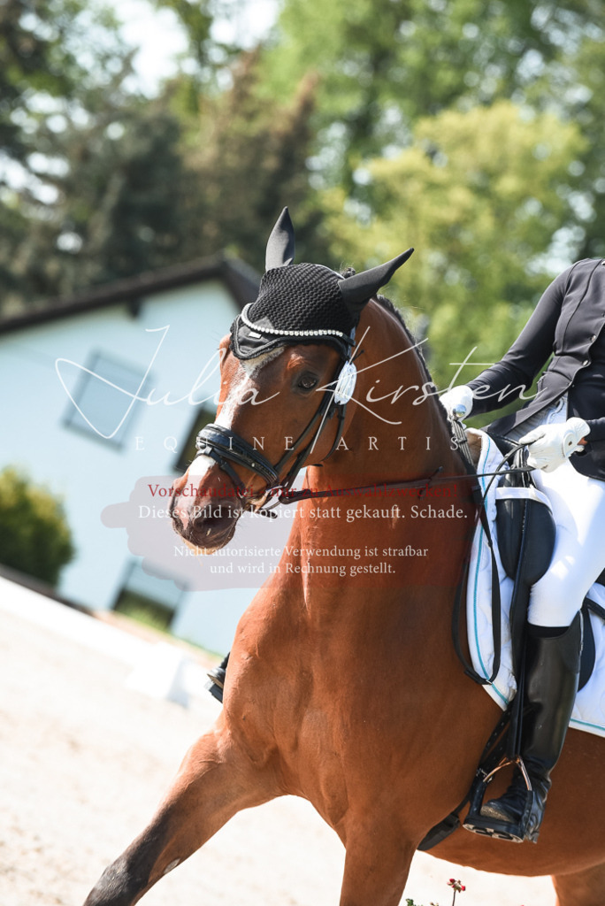 20230518_JK-Röhrsdorf-09-0877 | Pferde- und Turnierfotografie in Westsachsen. Pferdeportraits, Auftragszeichnungen und intuitive Kunst.