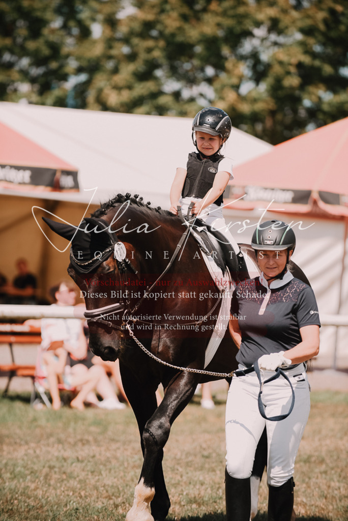 DSC_6162 | Pferde- und Turnierfotografie in Westsachsen. Pferdeportraits, Auftragszeichnungen und intuitive Kunst.