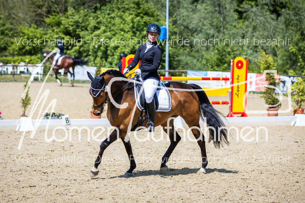 Donop24-L-Dre-101 | MomenTaufnahmen Pferdesportfotos