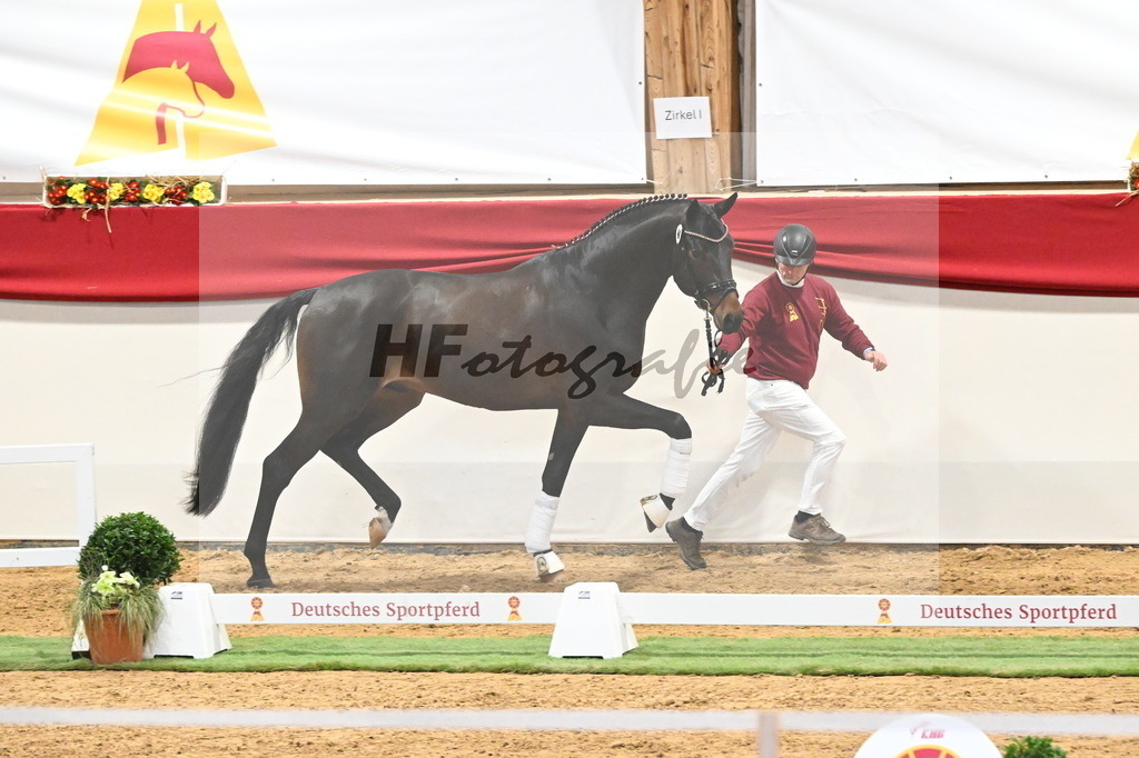 Kat.-Nr. 40 v. Despacito_Greim_3260225 | hf-fotografie - Realizzato con Pictrs.com