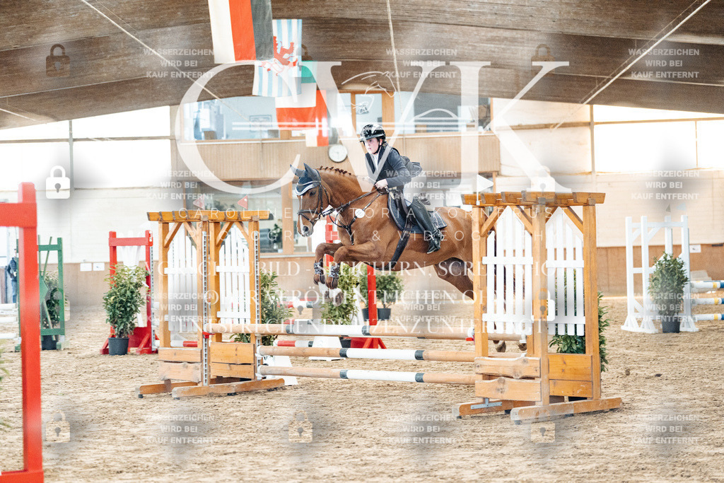 CK903726 | Turnierfotografie Pferdefotografie Trier Rheinland-Pfalz Pferdesport Reitsport Tierfotografie Sportfotografie Pferdevideo Pferdevideografie Equestrianvideography equestrianphotography  - Realisiert mit Pictrs.com