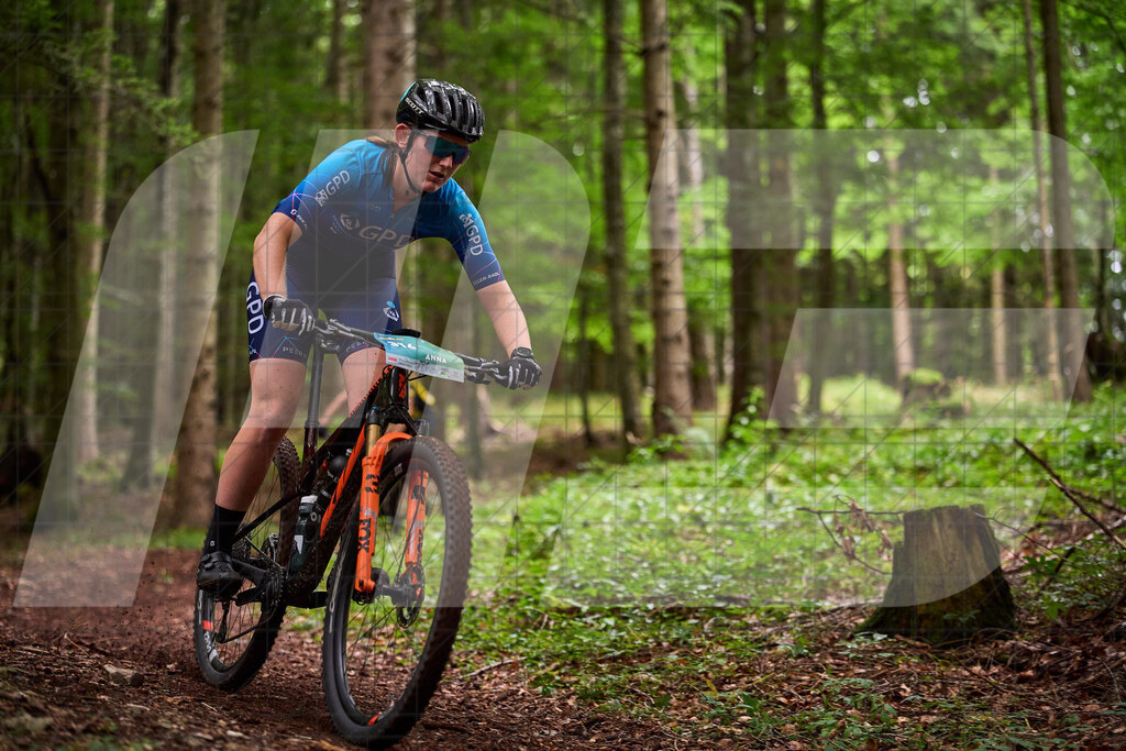 Betriebszentrum Laubenbachmühle, Frankenfels, Österreich - 13. September 2025: Dirndltal Race - Fun und Trophy RaceFotograf: Martin Bihounek / martinbihounek.com | 13. September 2025 Betriebszentrum Laubenbachmühle, Frankenfels, Österreich : Dirndltal Race - Fun und Trophy Race •••••Photo by: Martin Bihounek / martinbihounek.comInsta: @martinbihounekcom