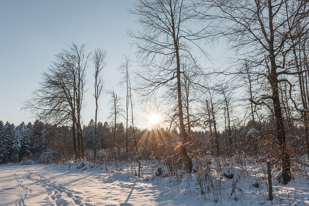 Sonnenuntergang im Winterwald | im Winter. - Realisiert mit Pictrs.com