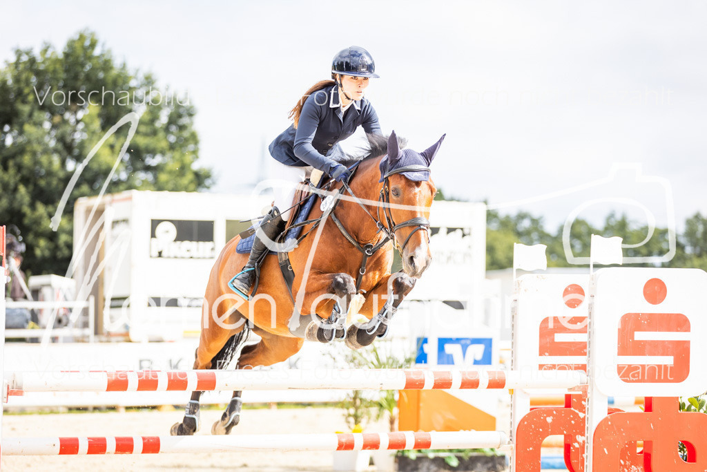 BHO-2PhSpr-M-5-2172 | MomenTaufnahmen Pferdesportfotos