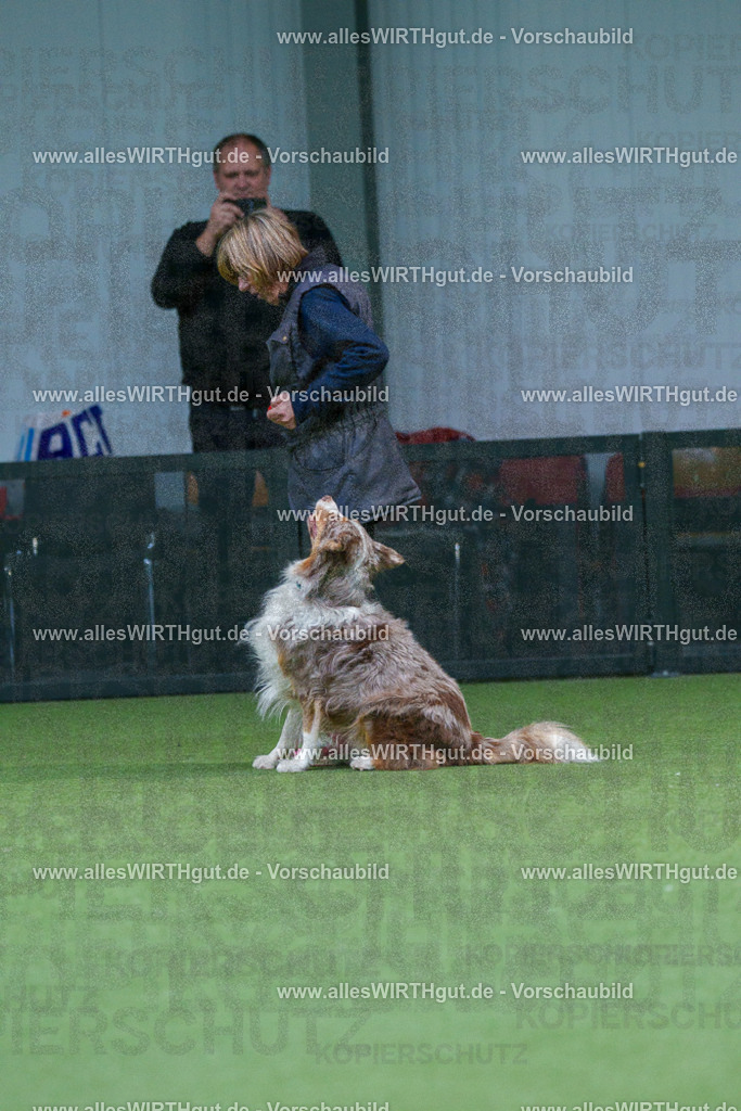 7R506378 | Professionelle Tierfotografie in Mönchengladbach von Daniel Wirth (allesWIRTHgut). Liebevolle & natürliche Bilder von Hunden & Katzen für unvergessliche Erinnerungen.