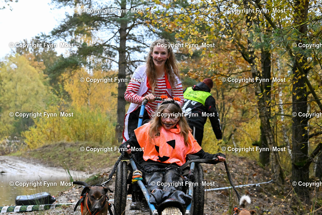 DSC_7061 | Hallo und herzlich Willkommen auf meiner Shop-Seite Fynn Most.

Ich wünsche Dir viel Spaß beim stöbern durch die Bilder, wenn Du Fragen hast oder Bilder vermisst, kannst du mir gerne eine Nachricht schreiben. - Realisiert mit Pictrs.com