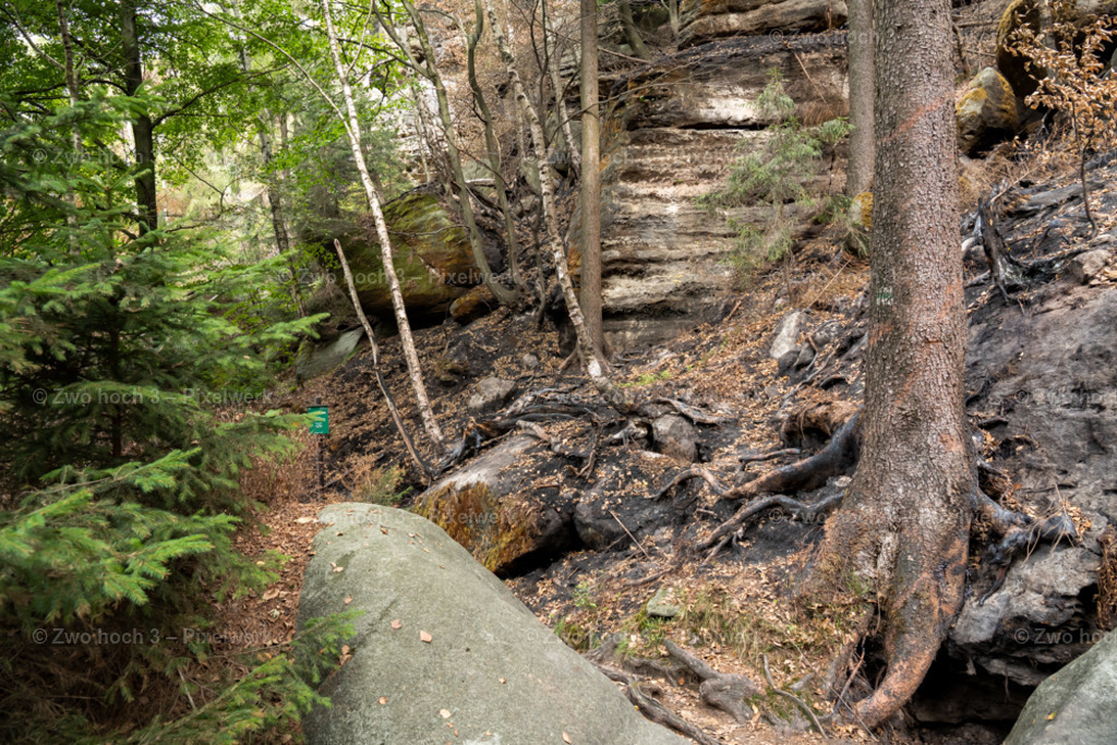Obere_Affensteinpromenade_Felsen_Felswand_Baumstamm_Wurzel | 2022-09-02_Waldbrandgebiete_2 - Realisiert mit Pictrs.com
