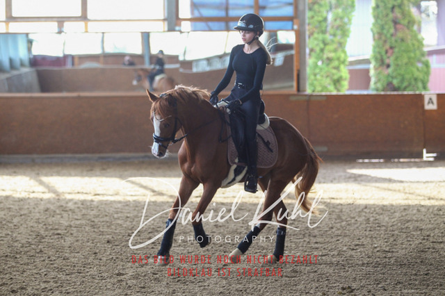 DKP42603 | Turniersportfotografie; Pferdefotografie; Dressurfotografie