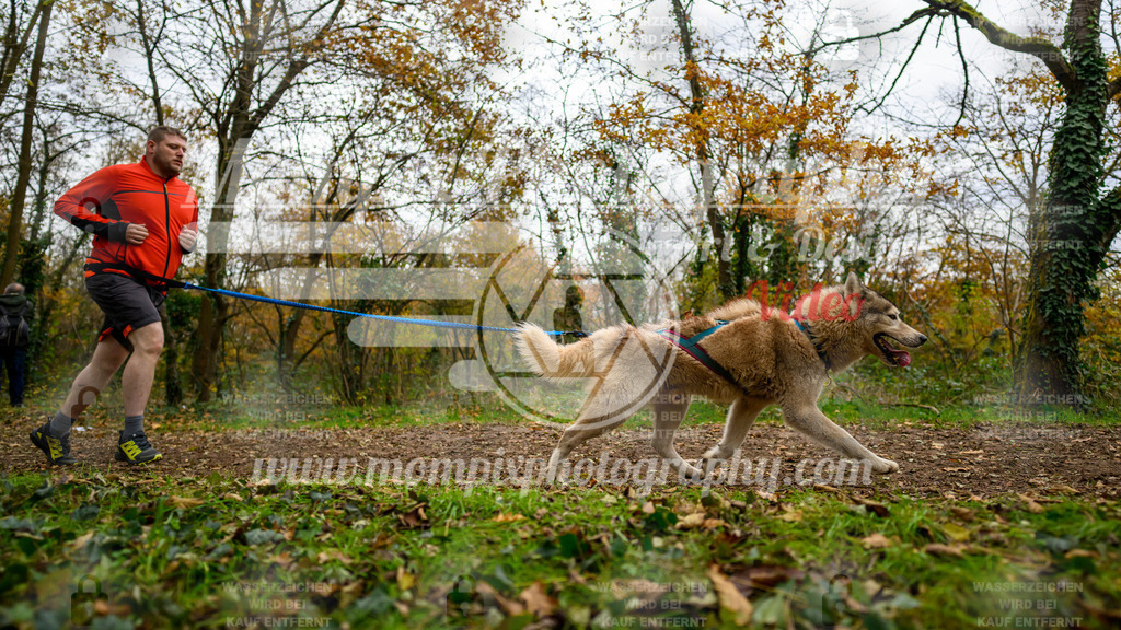 MompixPhotography_Bischwiller24_DI_CoursedeRelais-59 | PayLife