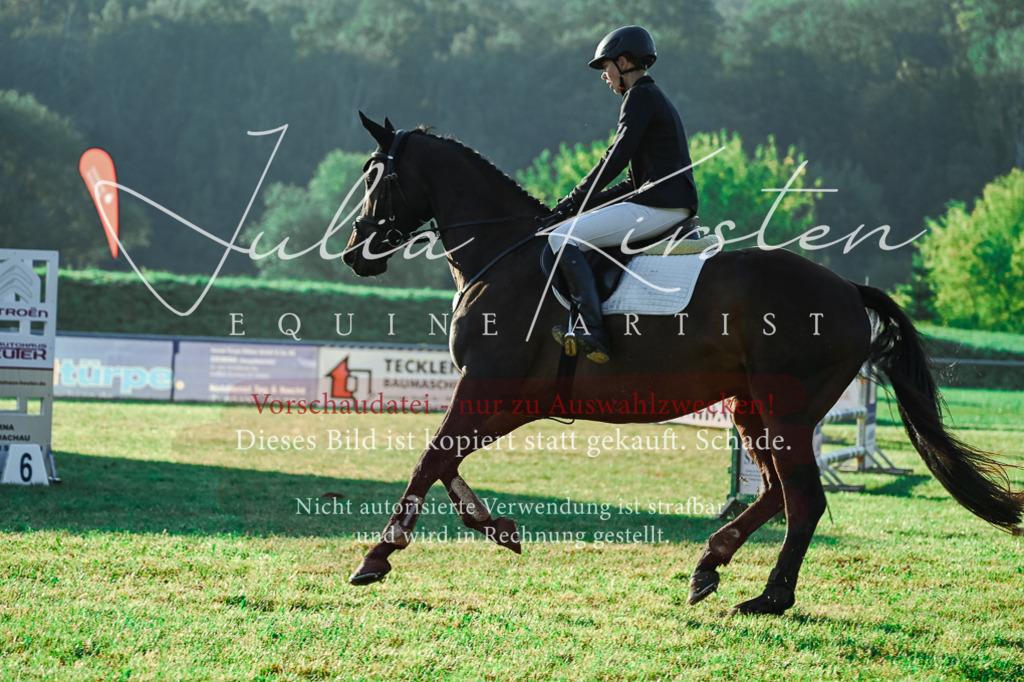 DSC_4189 | Pferde- und Turnierfotografie in Westsachsen. Pferdeportraits, Auftragszeichnungen und intuitive Kunst.