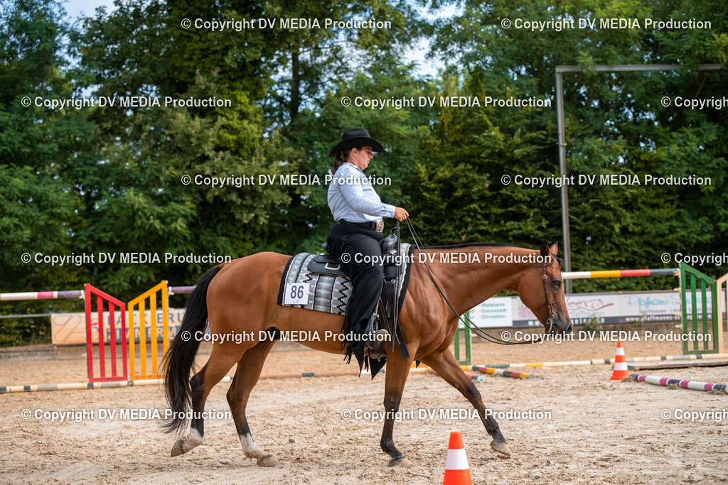 ZS3_9182 | dv-media-shop - Realisiert mit Pictrs.com