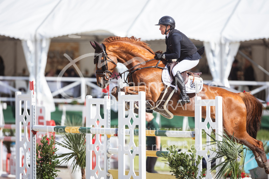 240712_BHO_ZweiPh-M2-2-633 | Deine schönsten Turniermomente als professionelle Fotos! Entdecke hochwertige Pferdesport-Fotografie im Online-Shop. Jetzt Fotos finden & bestellen!