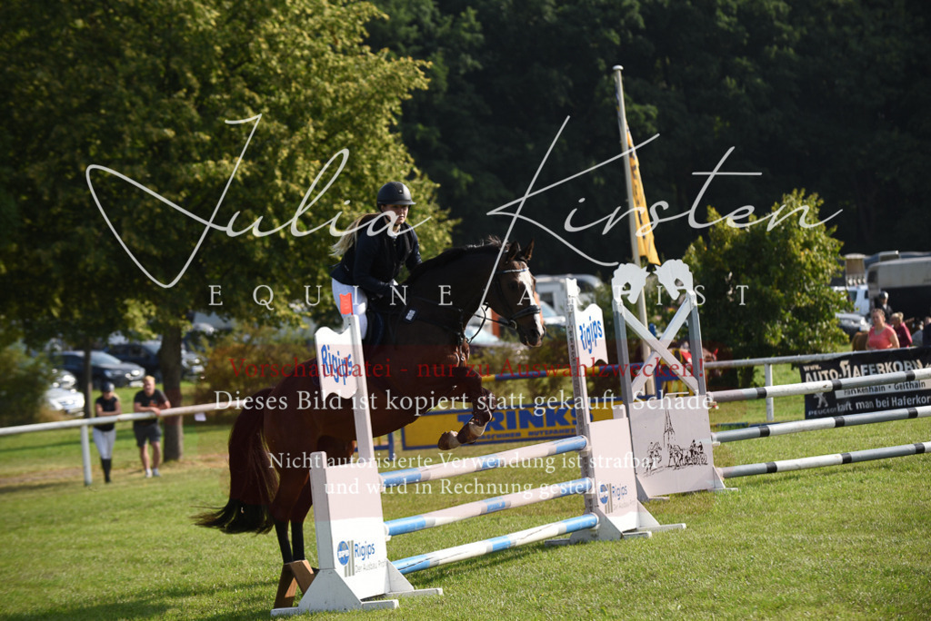 DSC_8625 | Pferde- und Turnierfotografie in Westsachsen. Pferdeportraits, Auftragszeichnungen und intuitive Kunst.