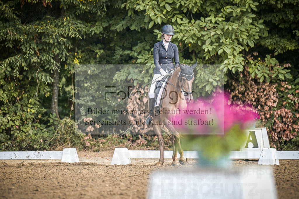 DOS_0206 | Entdecke hochwertige Reitturnierfotos von Foto Oger. Professionell, emotional und authentisch – jetzt Lieblingsmomente im Shop bestellen.Deutschlandweite Turnierfotografie. - Realisiert mit Pictrs.com