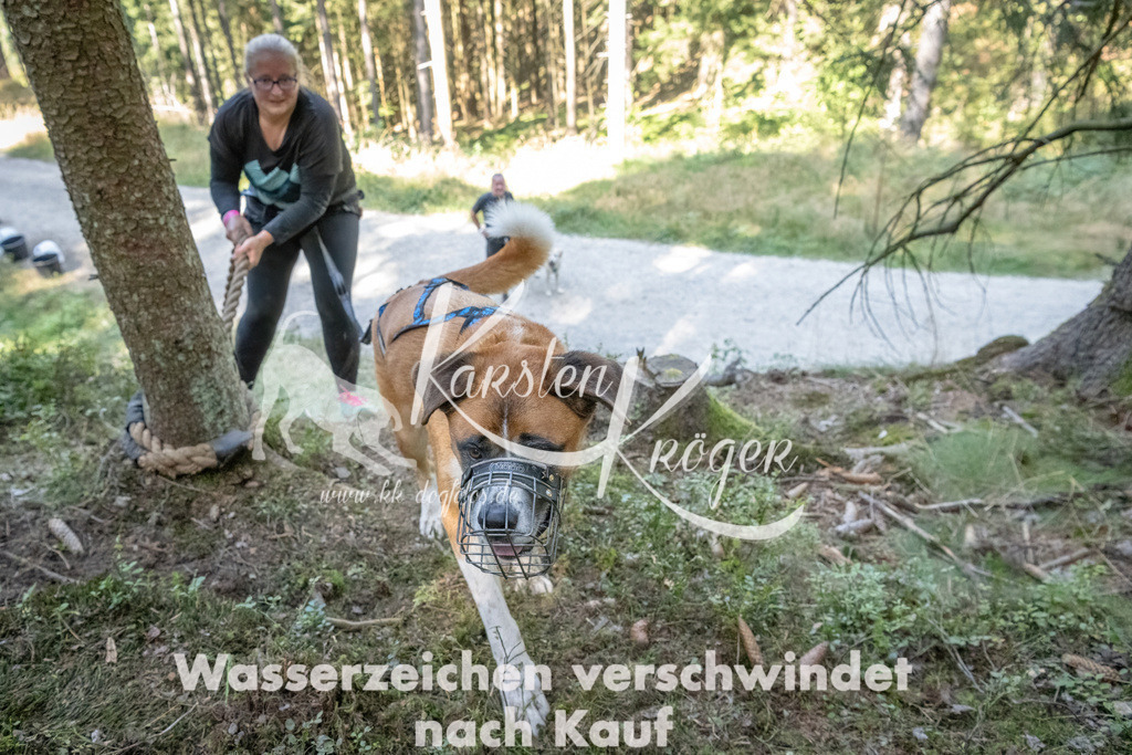 1202_ZZ93070 | kk-dogfotos