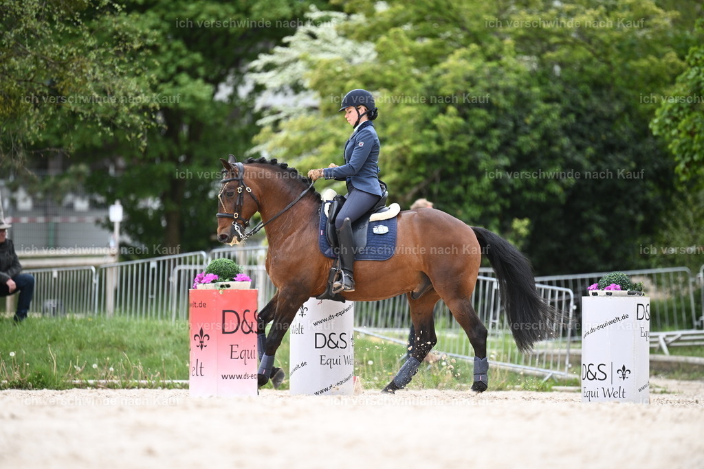 PI26_ST_Sara_Landvogt226_4058.JPG | working equitationturnier fotograf videograf stoibphotography marixx film working equitation deutschland reitsport turnierfotografie eventfotografie equestrian events