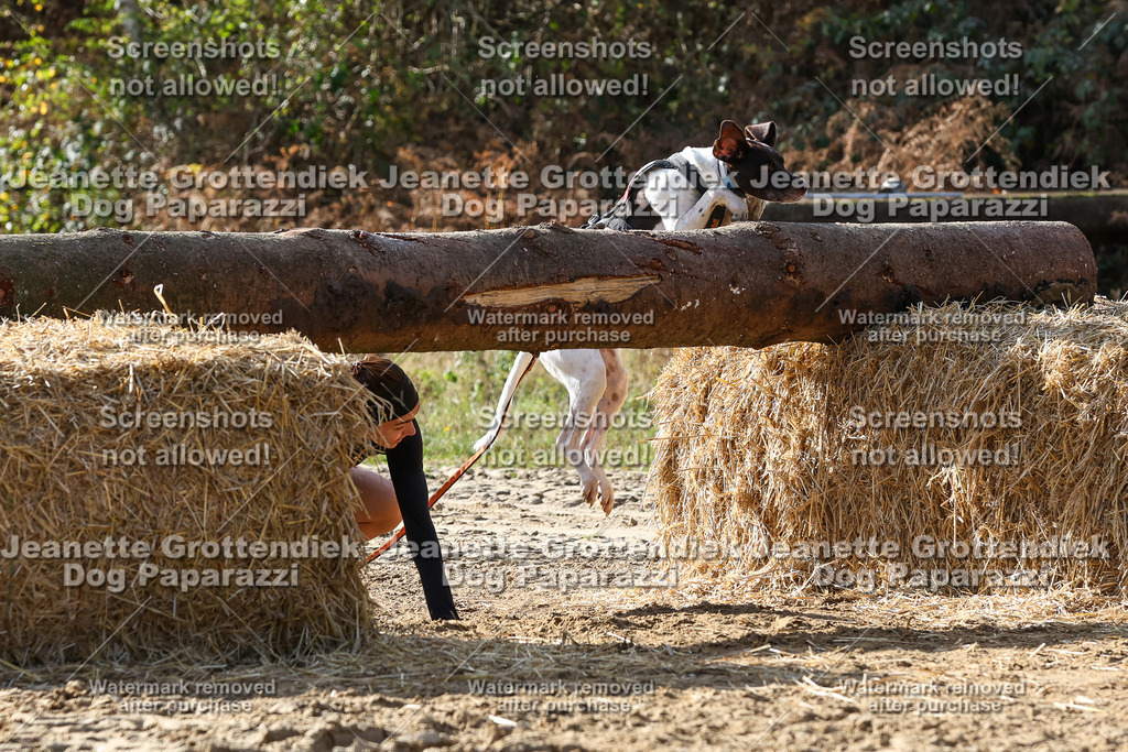 Dog Paparazzi - Strongdog 10-25-5938 | Dog Paparazzi Jeanette Grottendiek Fotografie & Videografie - Realisiert mit Pictrs.com