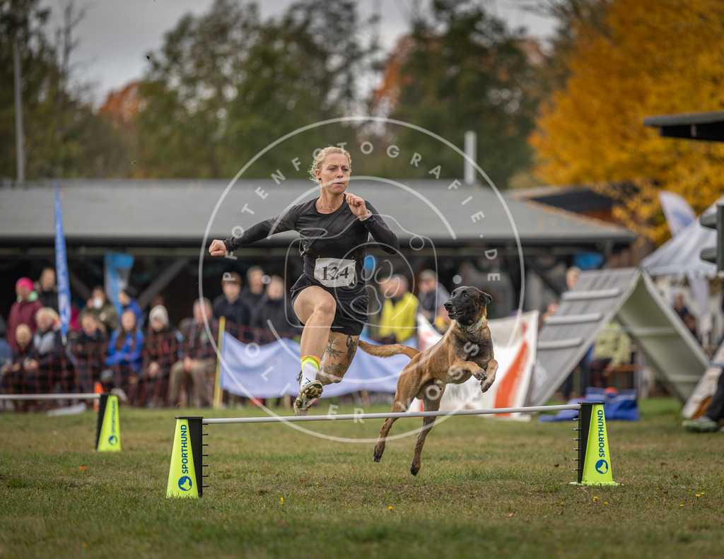 Pfotenfotografie_DV3A6745 | Hundefotografie, Tierfotograf, Pfotenfotografie, Fotoshooting Hund, Hunde Portrait, Hundesport, Hundeportraits, Heideshooting, Hunde, Sportfotograf, Hundefotograf, Turnierhundsport, THS,  - Realisiert mit Pictrs.com