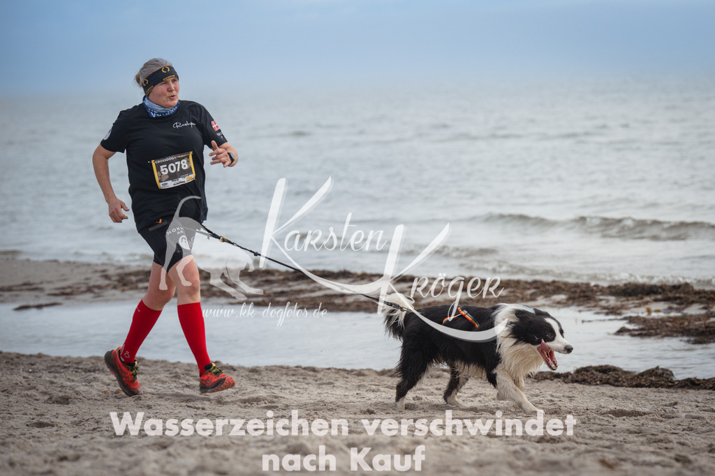 1145_ZZ90684 | kk-dogfotos