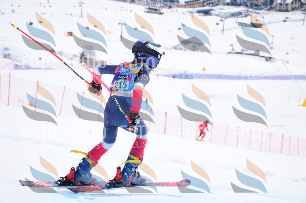 DSC_1953 | holidayphoto