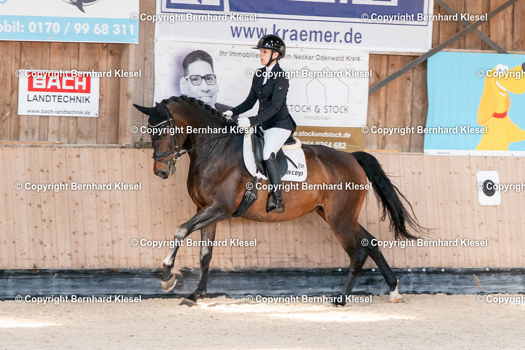 2A902994 | foto-team-bernhard - Realisiert mit Pictrs.com