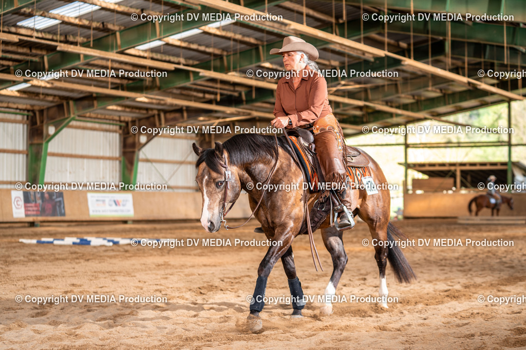 Balingen Tag 3-1353 | dv-media-shop - Realisiert mit Pictrs.com