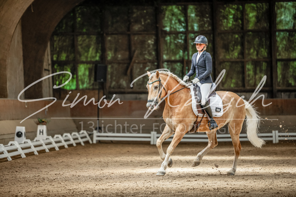 20250621-_3LI6662 | Tierfotografie Pferde, Hunde, Katzen, Haustiere.
Turnierfotografie Reitturniere, Reiten, Springreiten, Dressur in Hanau, dem Main-Kinzig-Kreis und dem Rhein-Main- Gebiet um Frankfurt