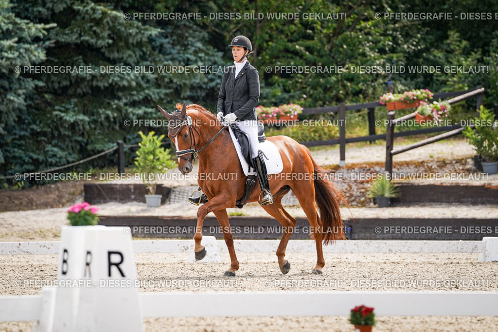 DSC08367 | Pferdegrafie