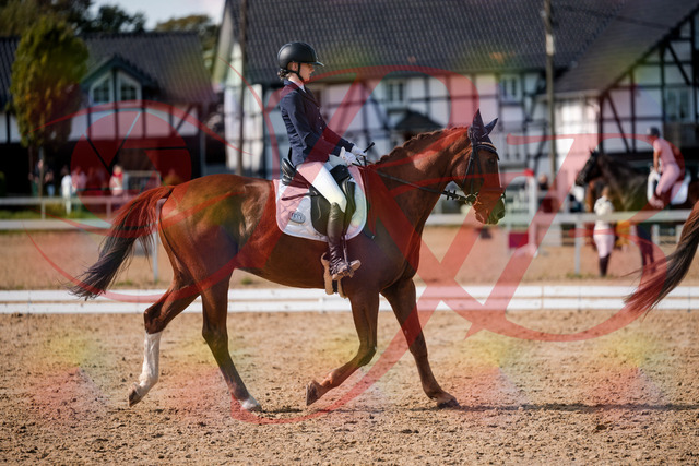 2026_10_03_Siefer-Hof_132759_Z63_87601016 | Professionelle Reitsport-, Turnier- und Eventfotografie von Robert Broda. Galerien mit ausgewählten und bearbeiteten Bildern direkt online ansehen und bestellen.