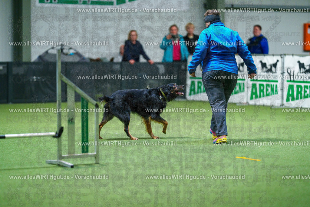 7R503973 | Professionelle Tierfotografie in Mönchengladbach von Daniel Wirth (allesWIRTHgut). Liebevolle & natürliche Bilder von Hunden & Katzen für unvergessliche Erinnerungen.