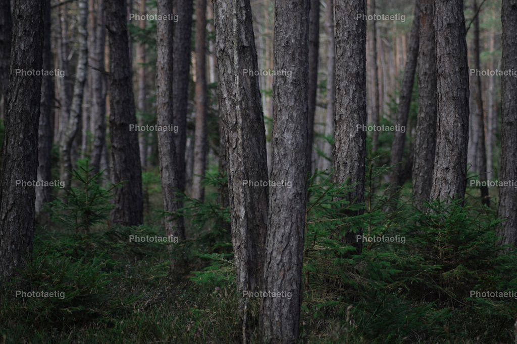 IMG_3729 | phototaetig