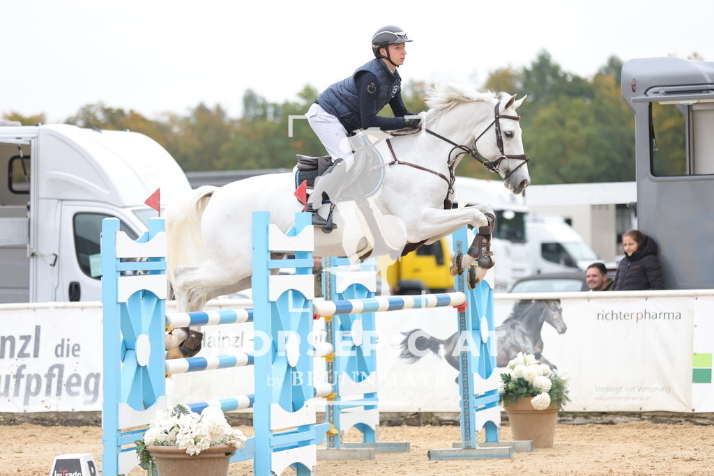 0P6A2032 | Willkommen bei Brunnmayr - Design & Fotografie – Ihrem Spezialisten für Reitturniere und Pferdeveranstaltungen in Oberösterreich, Salzburg und Bayern! Seit über 17 Jahren sind wir leidenschaftlich dabei.