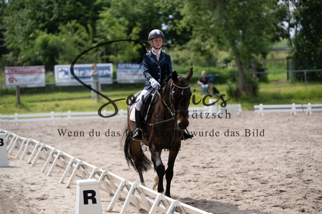 A7V02654 | Pferdefotograf