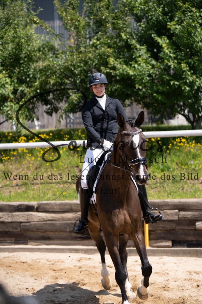 A7V08187 | Pferdefotograf