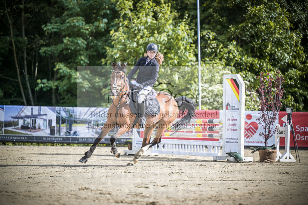 DOS_9113 | Entdecke hochwertige Reitturnierfotos von Foto Oger. Professionell, emotional und authentisch – jetzt Lieblingsmomente im Shop bestellen.Deutschlandweite Turnierfotografie. - Realized with Pictrs.com