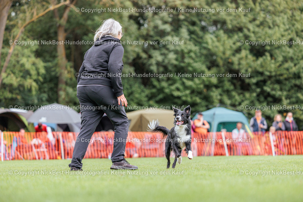 BSP Hoopers-H2 Tag2-2026-Nickbest-Hundefotografie-TuS Komet Arsten e.V.-8077 | Dein Hund! Dein Moment! Deine Erinnerungen! Hundefotografie in Bremen Blumenthal. Ich fange die besonderen Momente deines Vierbeiners ein – ob Indoor mit Blitzanlage oder in der freien Natur. Sicher dir dein Moment und dein Termin für eure Erinnerungen.
