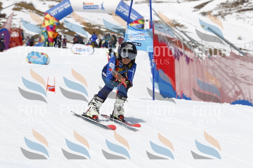 _U3G7997 | holidayphoto